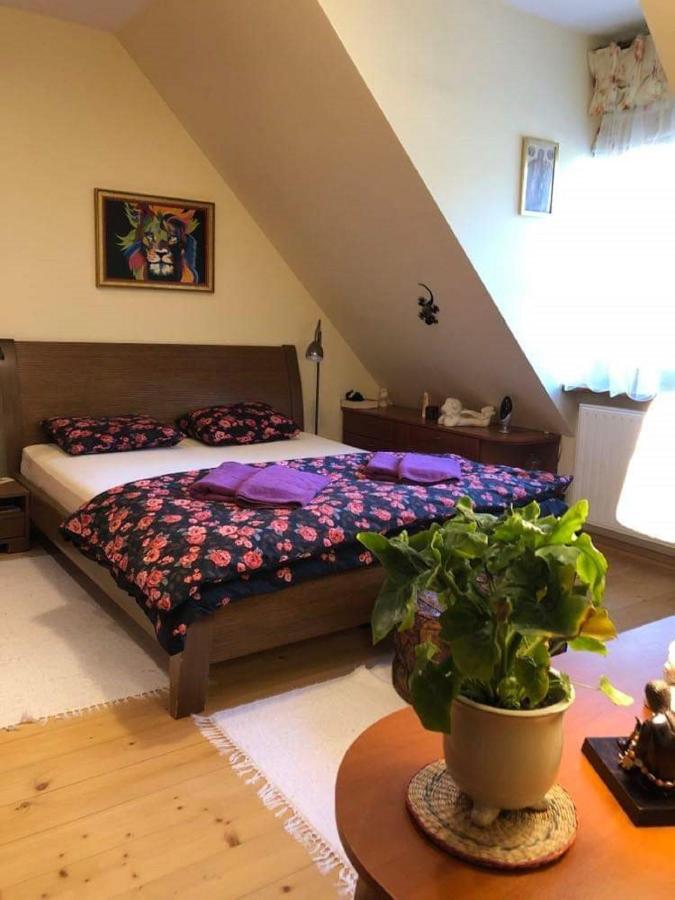 Willa nad Popradem Bed and Breakfast Piwniczna-Zdroj Exterior foto