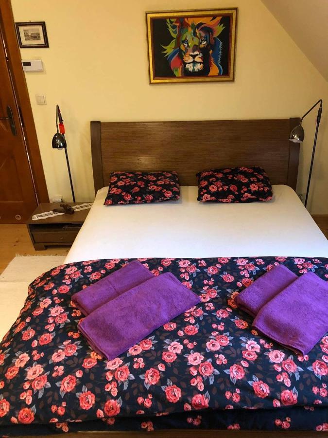 Willa nad Popradem Bed and Breakfast Piwniczna-Zdroj Exterior foto
