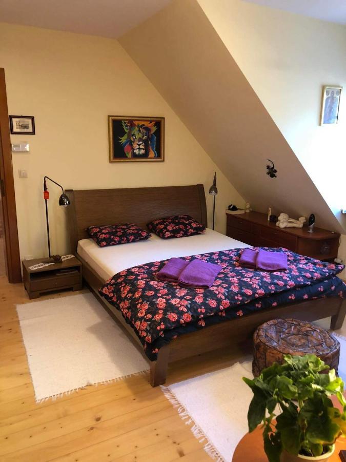 Willa nad Popradem Bed and Breakfast Piwniczna-Zdroj Exterior foto