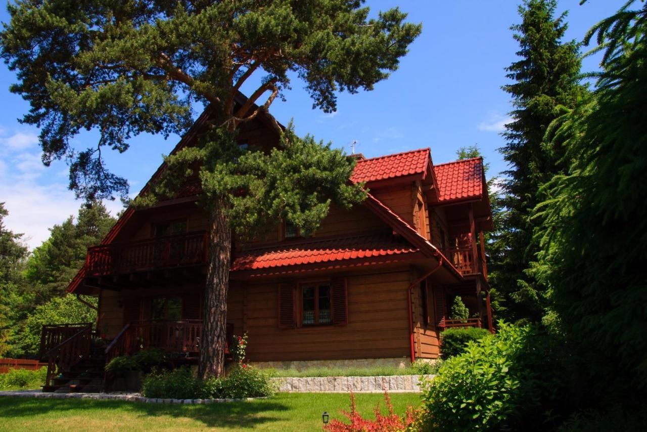 Willa nad Popradem Bed and Breakfast Piwniczna-Zdroj Exterior foto