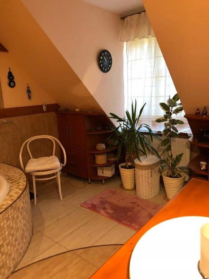 Willa nad Popradem Bed and Breakfast Piwniczna-Zdroj Exterior foto