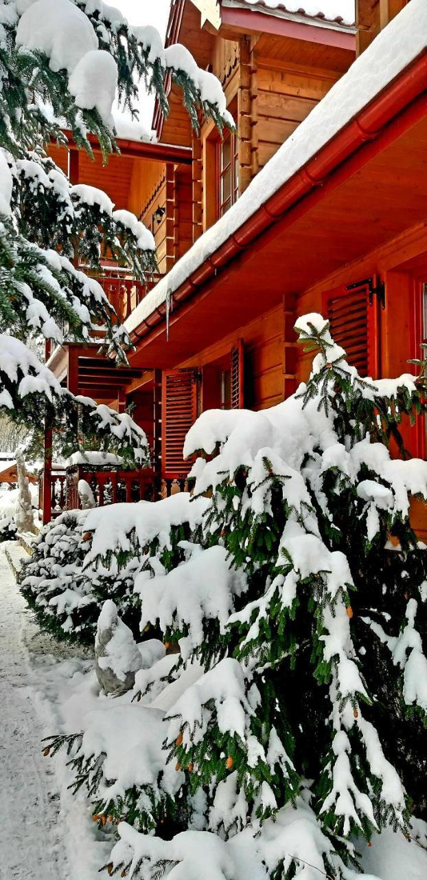 Willa nad Popradem Bed and Breakfast Piwniczna-Zdroj Exterior foto